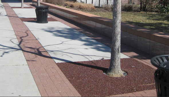 multiple tree surround image with porous pave