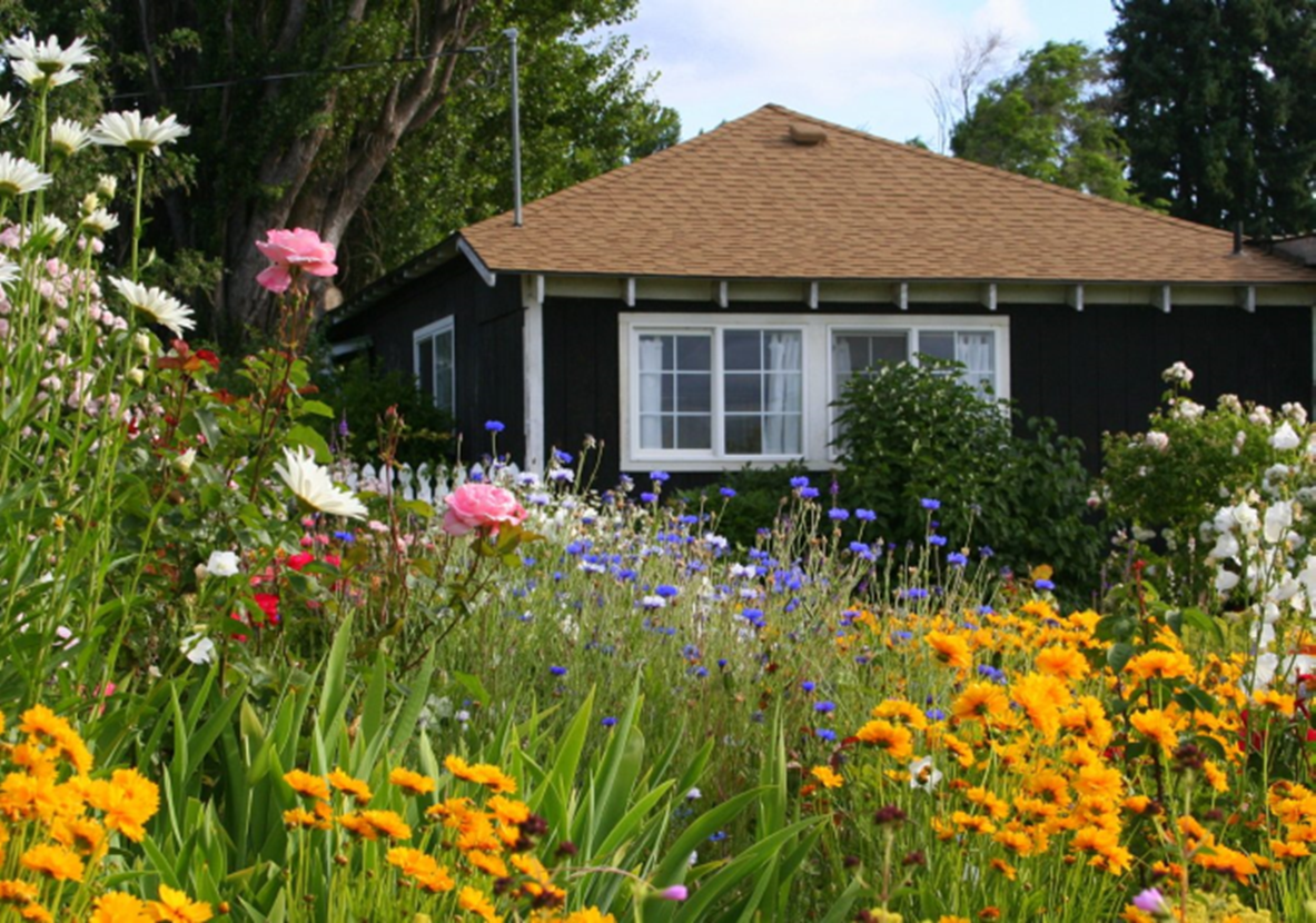 cottage 4