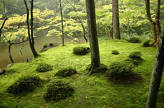 japanese 6